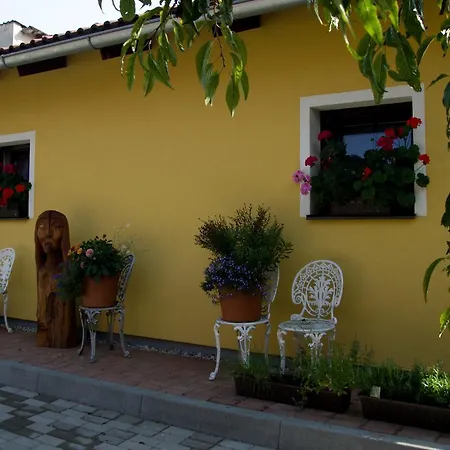 Gasthuis U Candru Vyšší Brod
